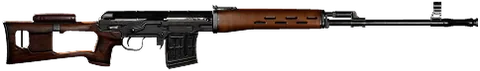 SVD — inventory artwork